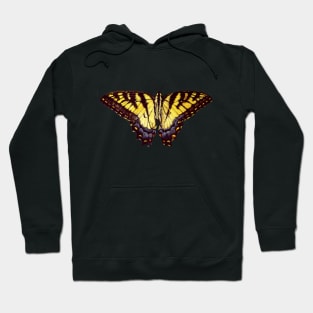 Tiger Swallowtail Butterfly Hoodie